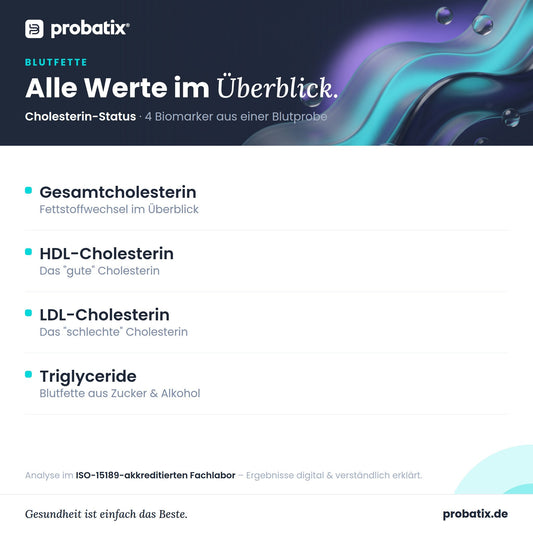 Alle Werte im Überblick – Cholesterin-Status