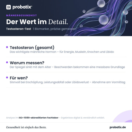 Alle Werte im Überblick – Testosteron-Test