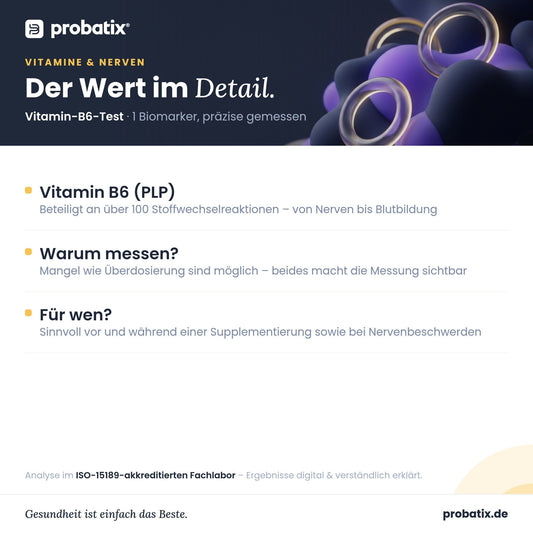 Alle Werte im Überblick – Vitamin-B6-Test