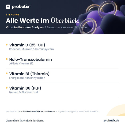Alle Werte im Überblick – Vitamin-Rundum-Analyse - avi