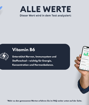 B6 Vitamini testi