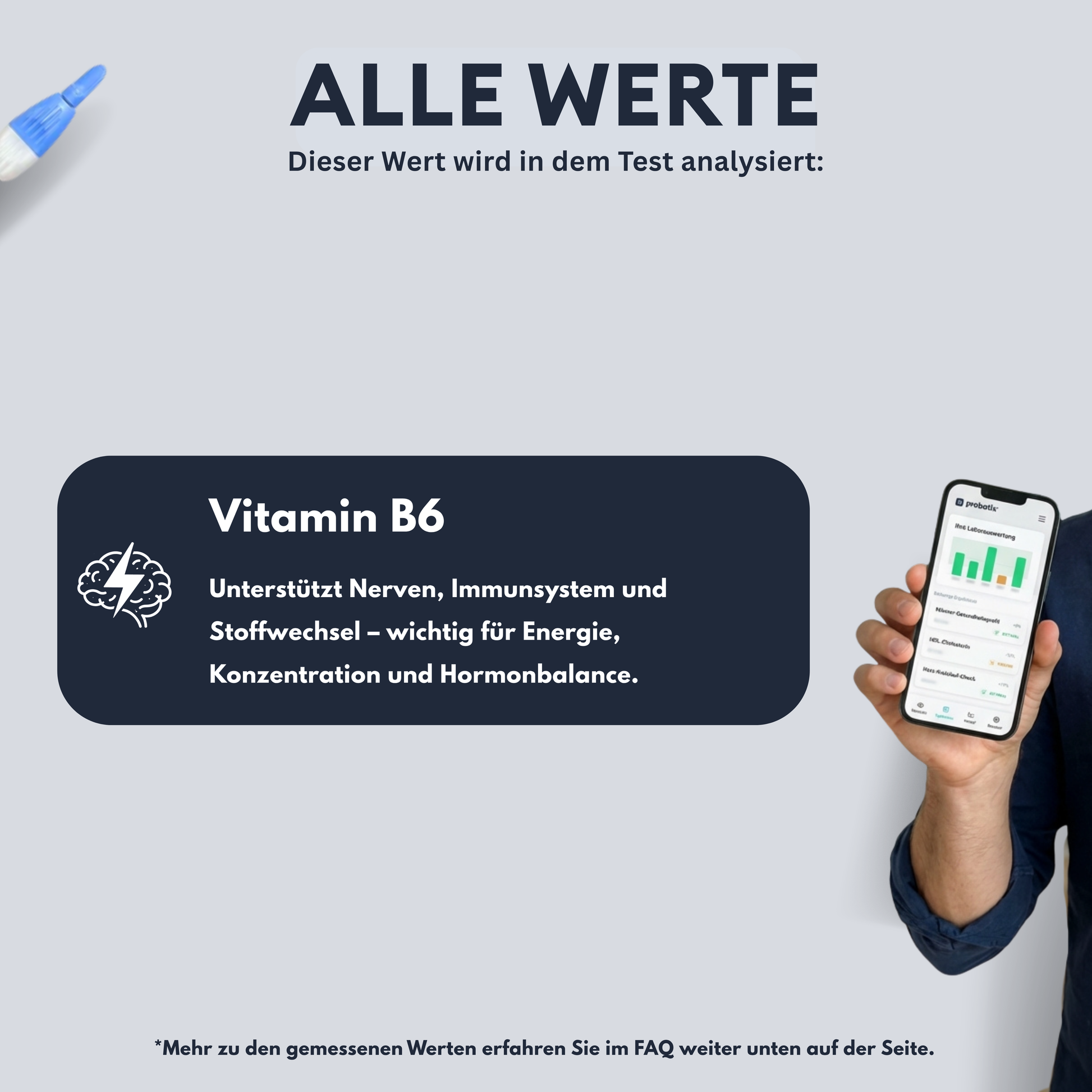 B6 Vitamini testi