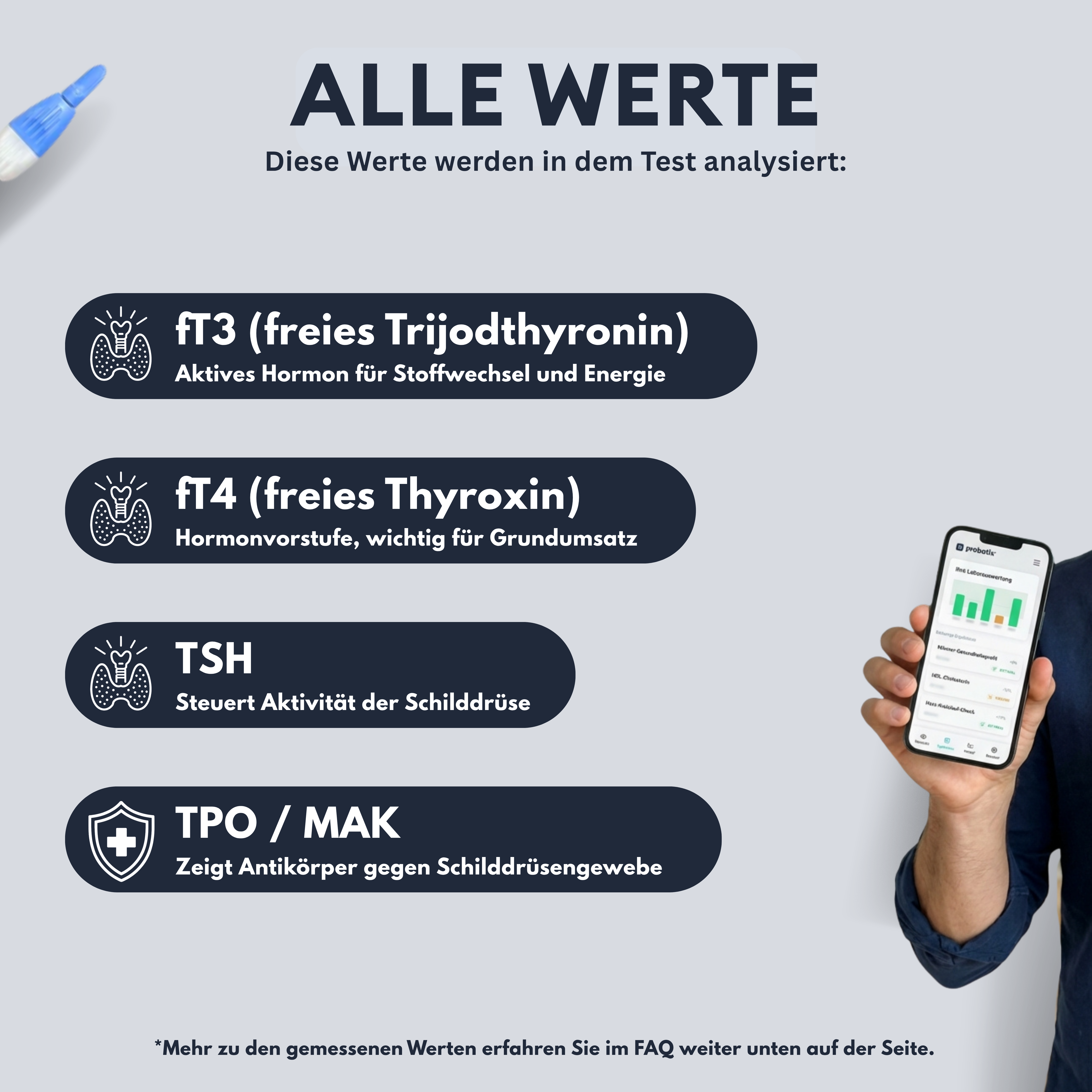 Schilddrüsen-Profil