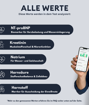 Nieren-Profil - Probatix Health