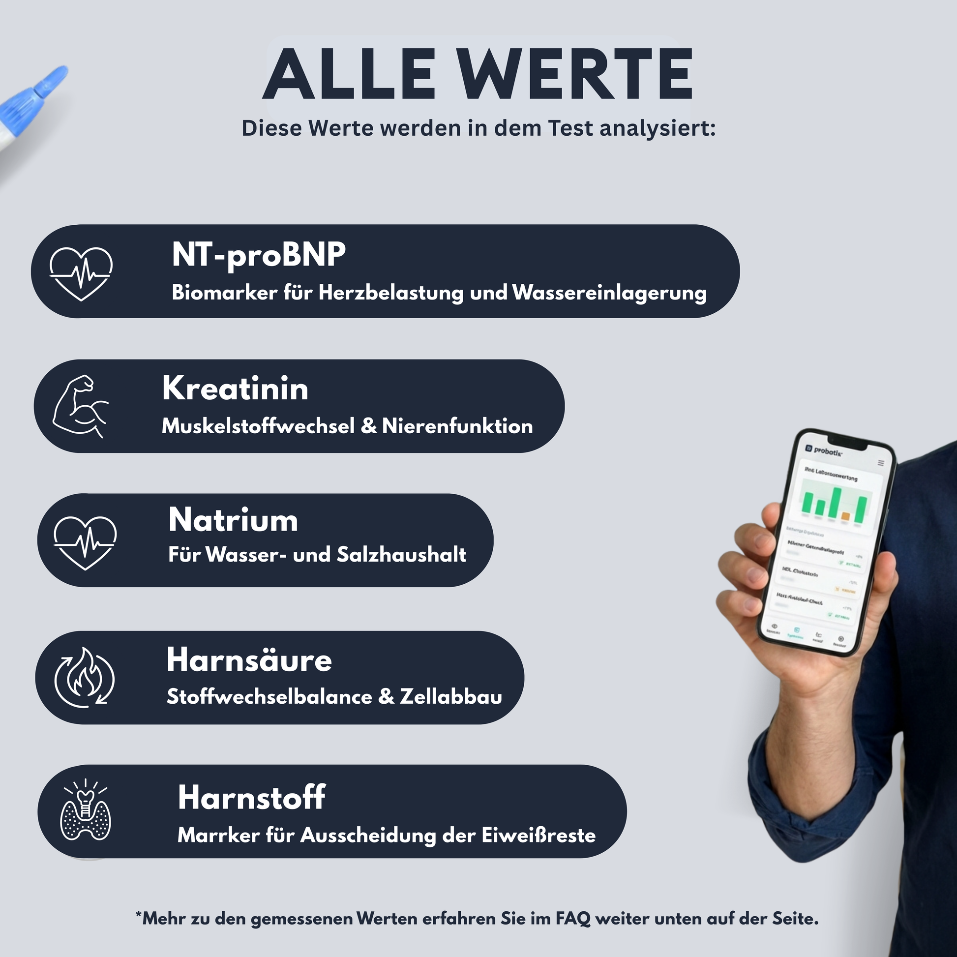 Nieren-Profil - Probatix Health