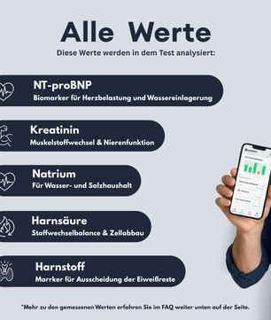Nieren-Profil - Probatix Health