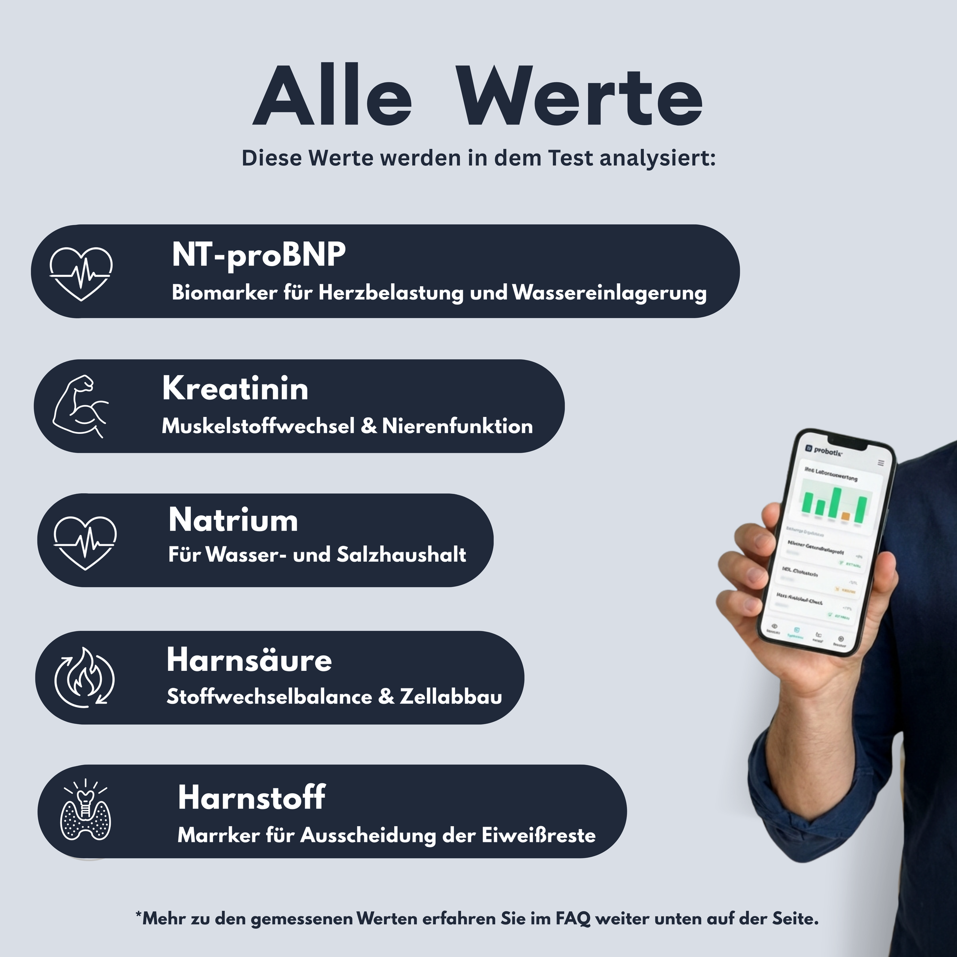 Nieren-Profil - Probatix Health