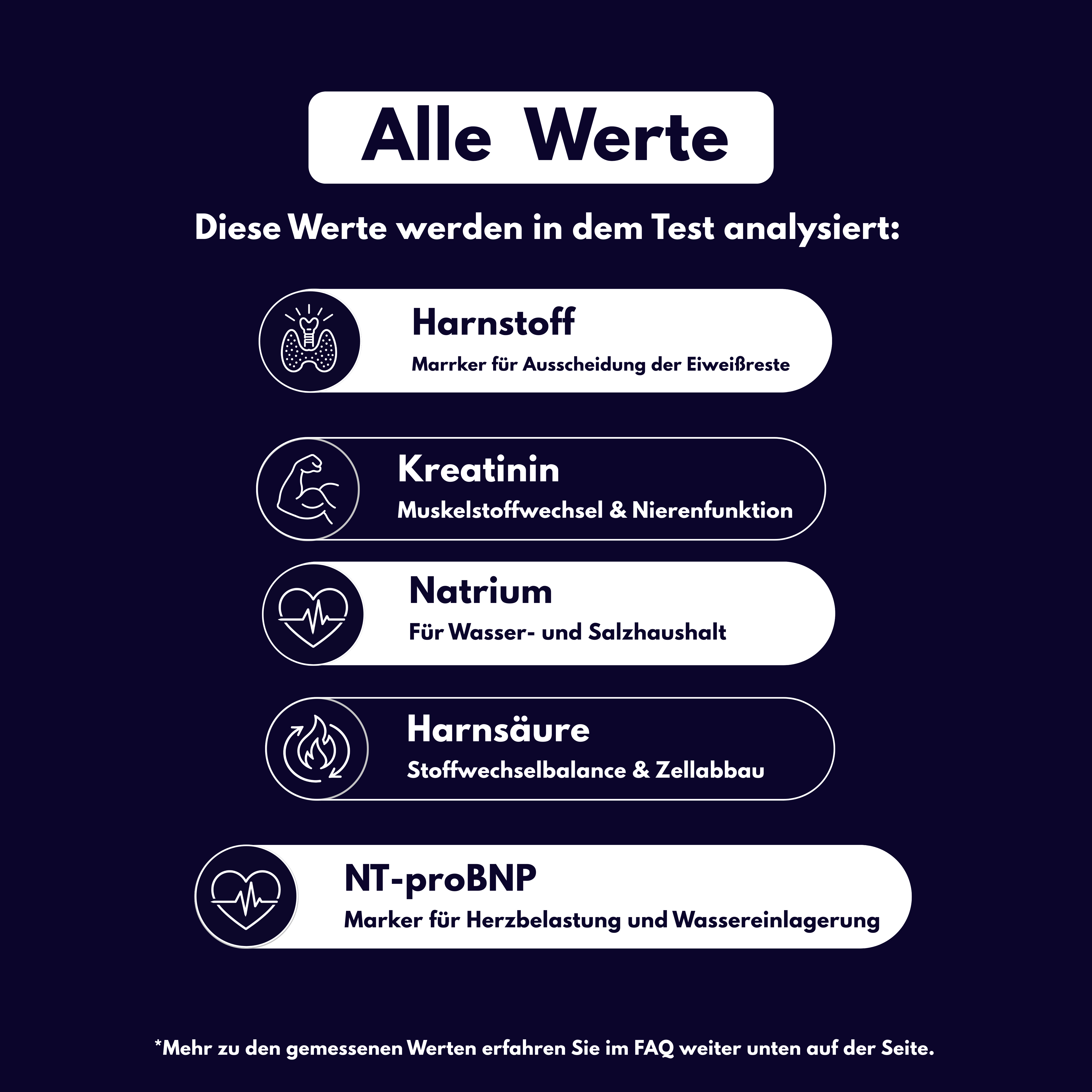 Nieren-Profil - Probatix Health