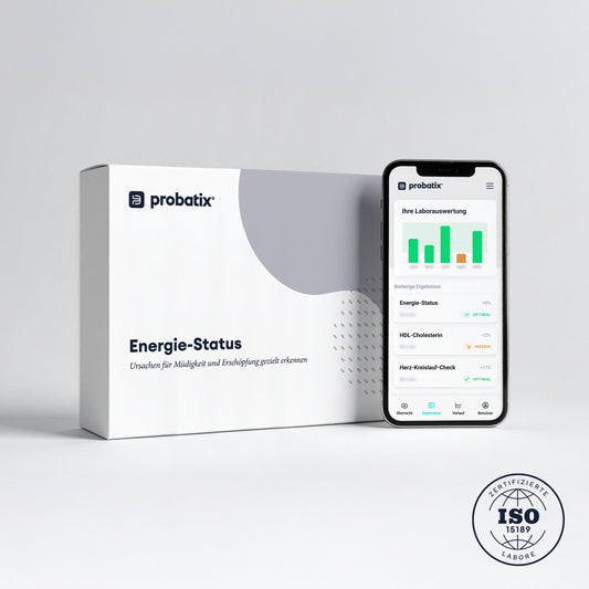 Energie-Status - Probatix Health