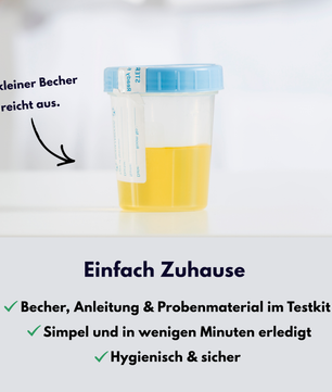 STI-Check Basis – Männer