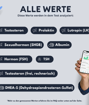 Männer-Hormon-Profil