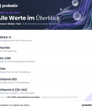 Alle Werte im Überblick – Burnout-Risiko-Test