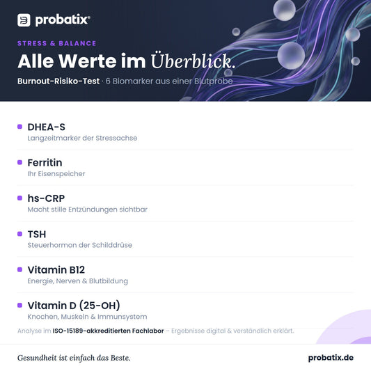 Alle Werte im Überblick – Burnout-Risiko-Test