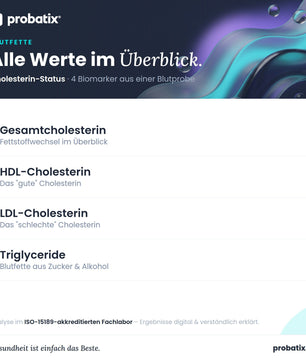 Alle Werte im Überblick – Cholesterin-Status