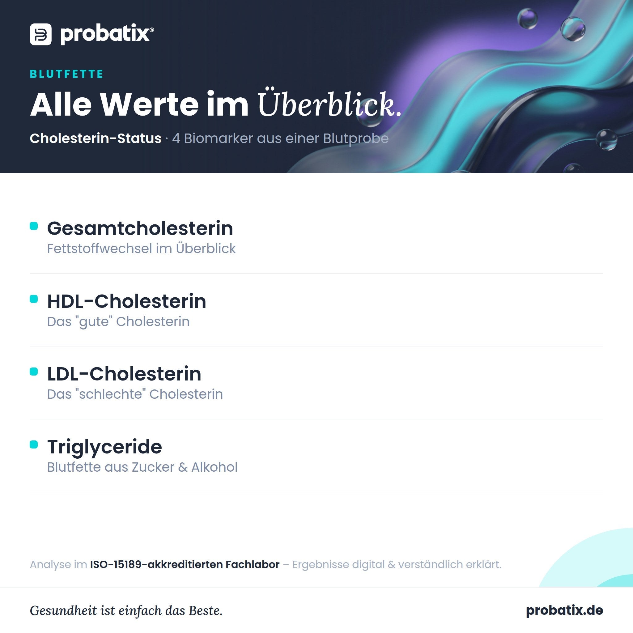 Alle Werte im Überblick – Cholesterin-Status