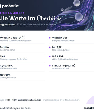 Alle Werte im Überblick – Energie-Status