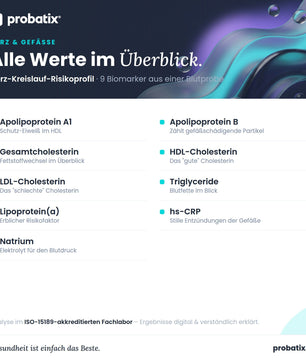 Alle Werte im Überblick – Herz-Kreislauf-Risikoprofil | easyApotheke