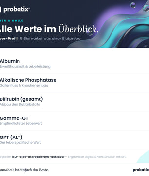 Alle Werte im Überblick – Leber-Profil