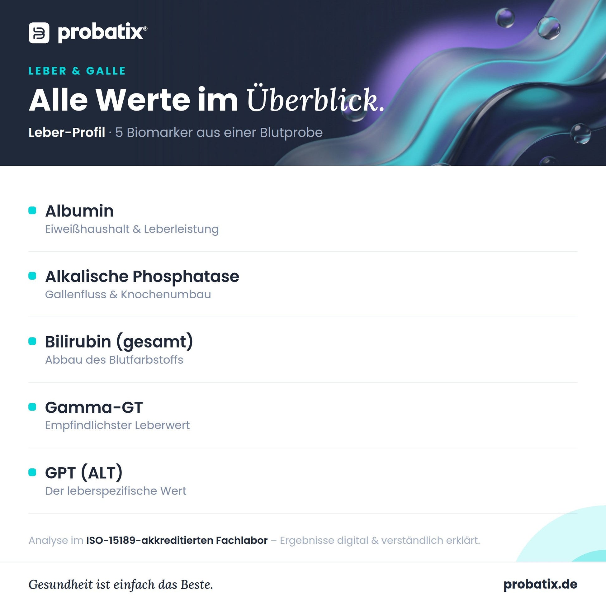 Alle Werte im Überblick – Leber-Profil
