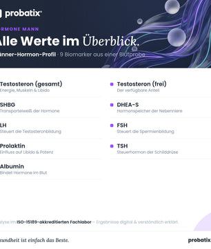 Alle Werte im Überblick – Männer-Hormon-Profil - avi