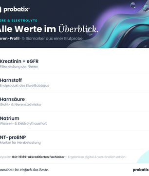 Alle Werte im Überblick – Nieren-Profil