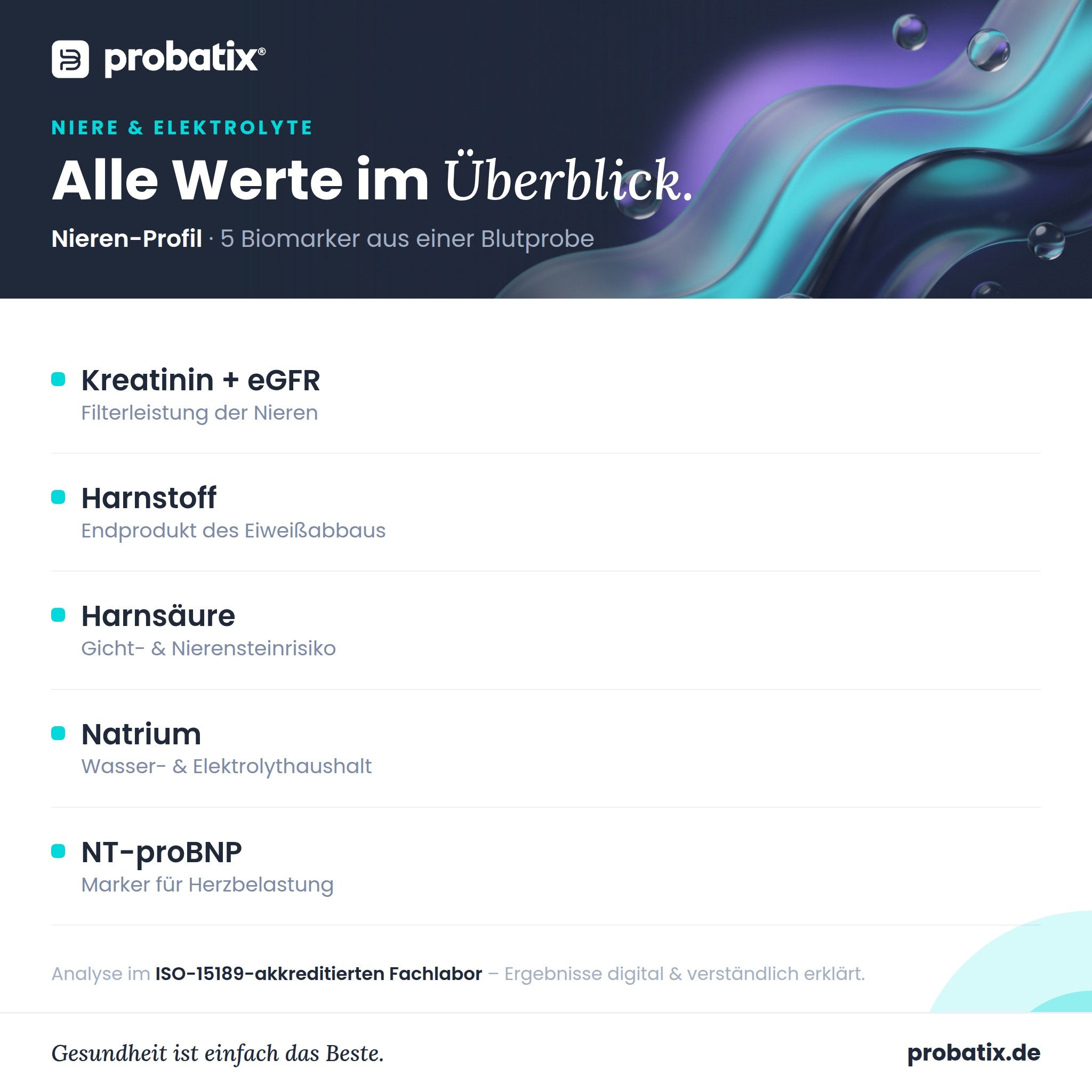 Alle Werte im Überblick – Nieren-Profil
