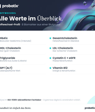 Alle Werte im Überblick – Stoffwechsel-Profil