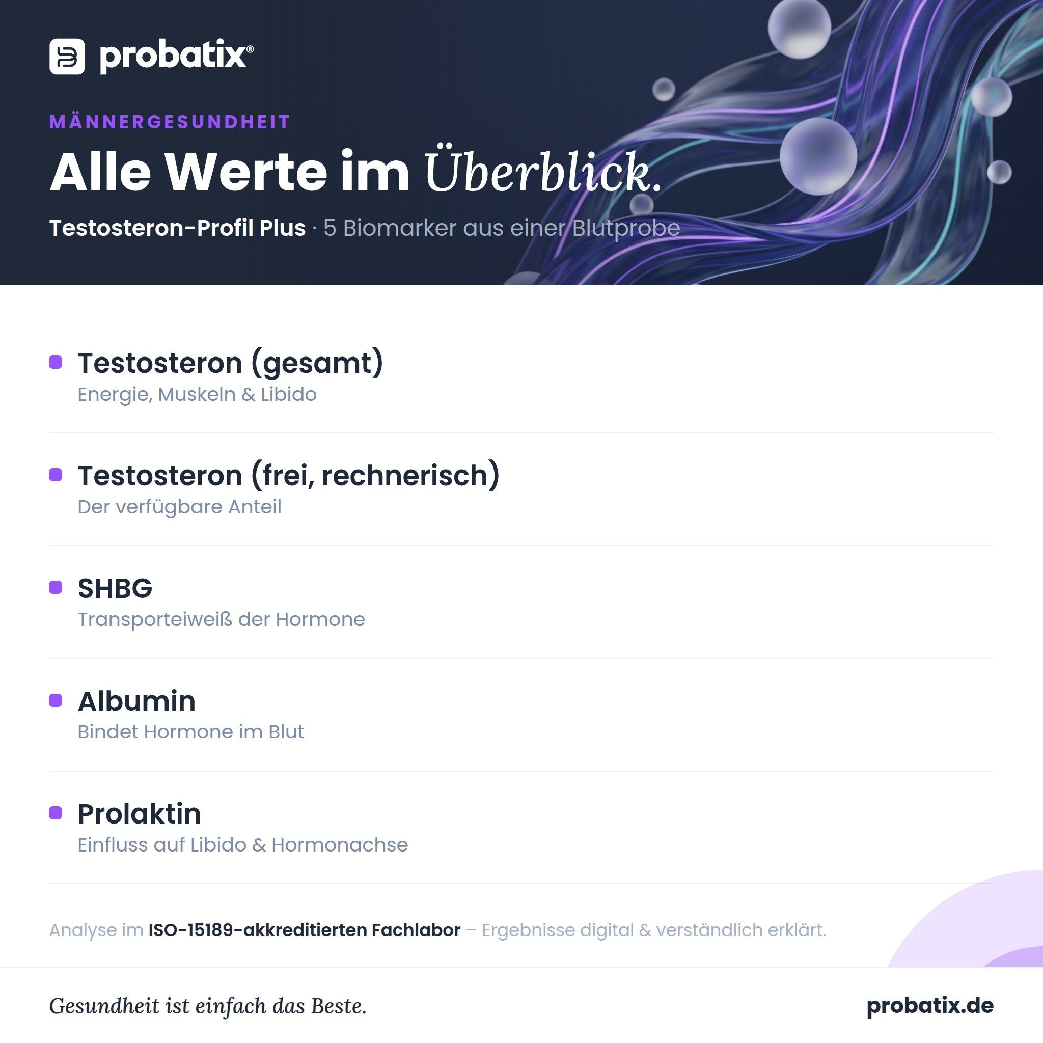 Alle Werte im Überblick – Testosteron-Profil Plus
