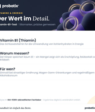 Alle Werte im Überblick – Vitamin-B1-Test