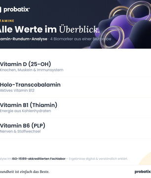 Alle Werte im Überblick – Vitamin-Rundum-Analyse